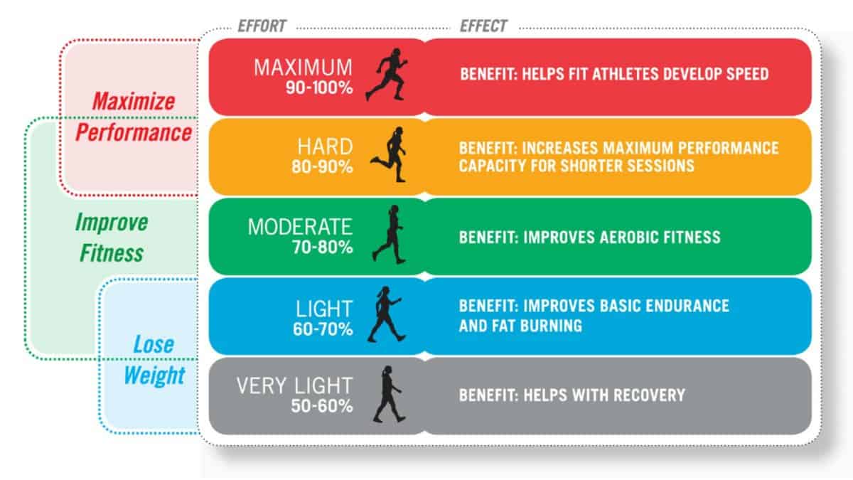 Why does knowing your Heart Rate Zones matter? Digital Health Central