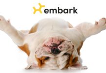 Embark Dog DNA Test: What you should know before ordering one! Embark Dog DNA Test