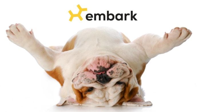 Embark Dog DNA Test