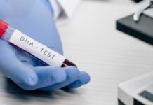 At-home DNA Test Kits: What can you learn from them? at-home dna test main