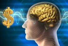 What Is The Cost Of Neurofeedback Therapy? Cost Of Neurofeedback Therapy Main